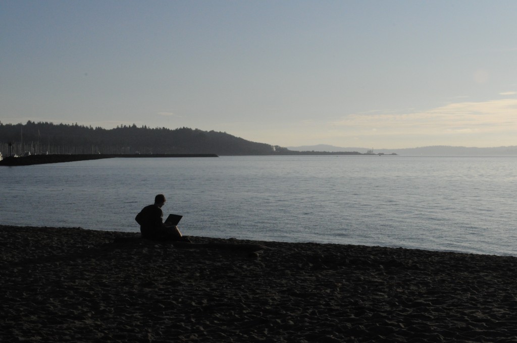 Golden_Gardens_laptop_user