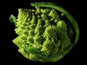 Fractal_Broccoli